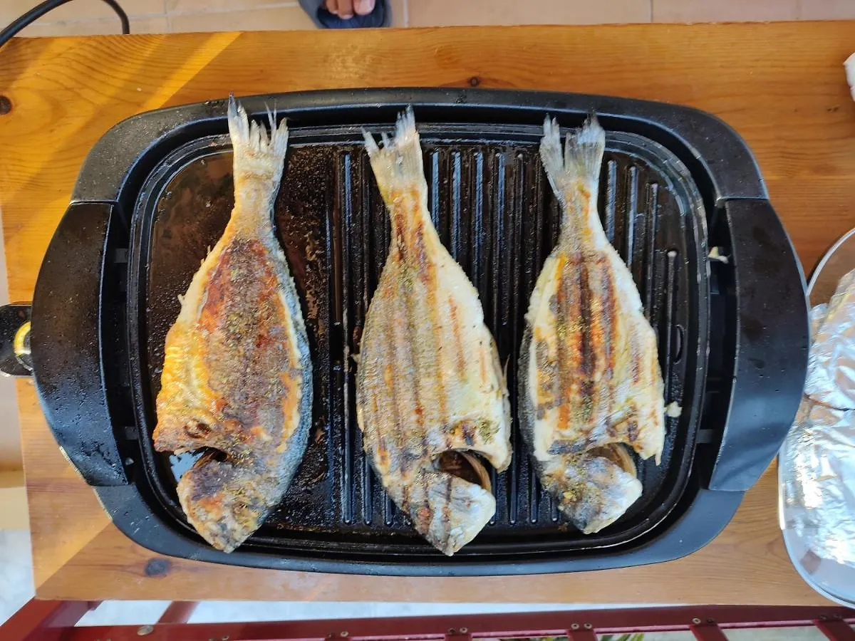 Wolf Pefkochori Apartment Greece
